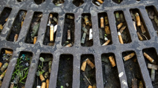 Paris ne veut plus avoir &agrave; ramasser 4 &agrave; 5 millions de m&eacute;gots chaque jour
