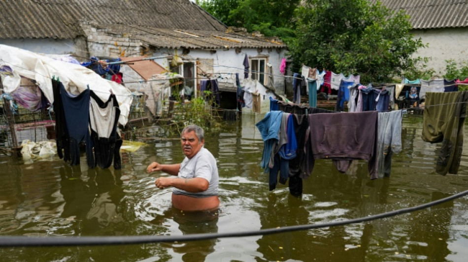 Ukrainian farmers mourn animals and crops lost in flood