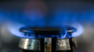 Gasspeicher in Deutschland sollen zum Winter zu 90 Prozent gef&uuml;llt sein
