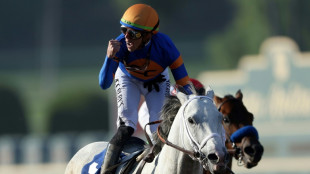 Dutrow in from the cold as White Abarrio wins Breeders' Cup Classic