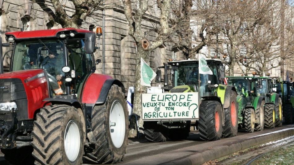 Mercosur: forte mobilisation d'agriculteurs europ&eacute;ens &agrave; Strasbourg