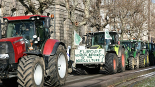 Thousands of farmers protest EU, Mercosur trade deal ahead of vote