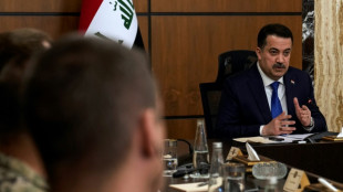 Irak inicia un di&aacute;logo con Estados Unidos sobre el futuro de la coalici&oacute;n antiyihadista
