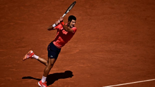 Djokovic into French Open quarters as Alcaraz faces Musetti