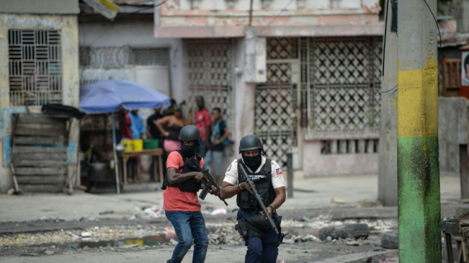 Haiti at risk of 'civil war' without international force: minister
