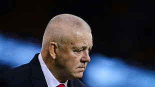 Gatland 'would have avoided Wales return' if he had known extent of problems