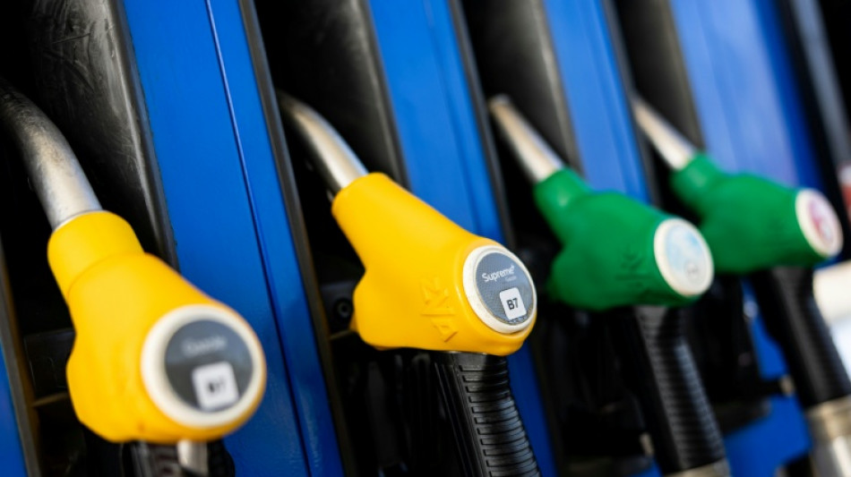  G7 'not there yet' on release of oil reserves: French minister 