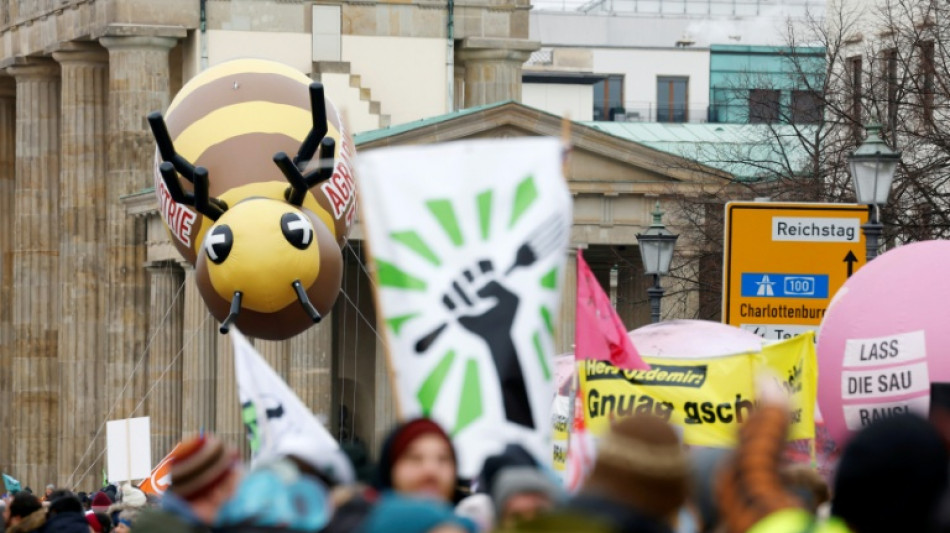 "Wir haben es satt": Erneut Gro&szlig;demonstration zur Gr&uuml;nen Woche in Berlin