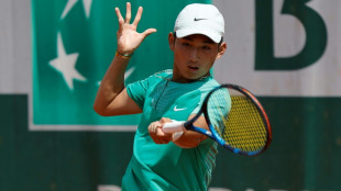 Shang fails to end China's 86-year wait at French Open