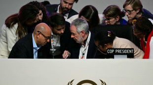 Cinco temas a seguir en 2026