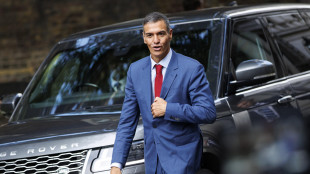 Sanchez, 'solidariet&agrave; della Spagna alla Flotilla da applaudire'