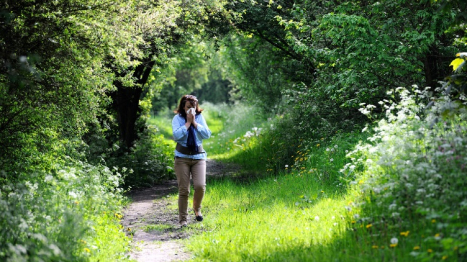 Longer exposure, more pollen: climate change worsens allergies
