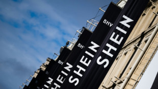 Shein cooperar&aacute; con Francia en la investigaci&oacute;n sobre mu&ntilde;ecas sexuales de aspecto infantil