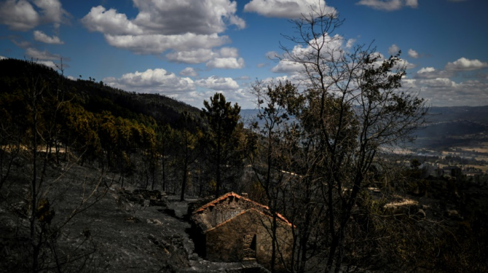 Le Portugal et l'Espagne peinent &agrave; venir &agrave; bout de plusieurs feux de for&ecirc;t