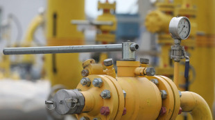 Il gas conclude in aumento (+3%) a 52 euro al Megawattora