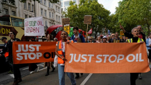 Activistas clim&aacute;ticos desaf&iacute;an al gobierno brit&aacute;nico contra la explotaci&oacute;n de petr&oacute;leo