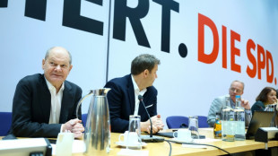 L'Allemagne en crise se dirige vers des &eacute;lections le 23 f&eacute;vrier 