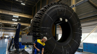 Michelin mise gros sur les "pneus de l'extr&ecirc;me", une discr&egrave;te manne financi&egrave;re