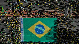 Apoiadores de Bolsonaro v&atilde;o &agrave;s ruas ap&oacute;s san&ccedil;&otilde;es dos EUA