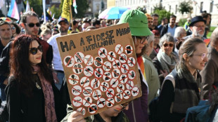 Milhares de pessoas desafiam proibi&ccedil;&atilde;o &agrave; Marcha do Orgulho na Hungria