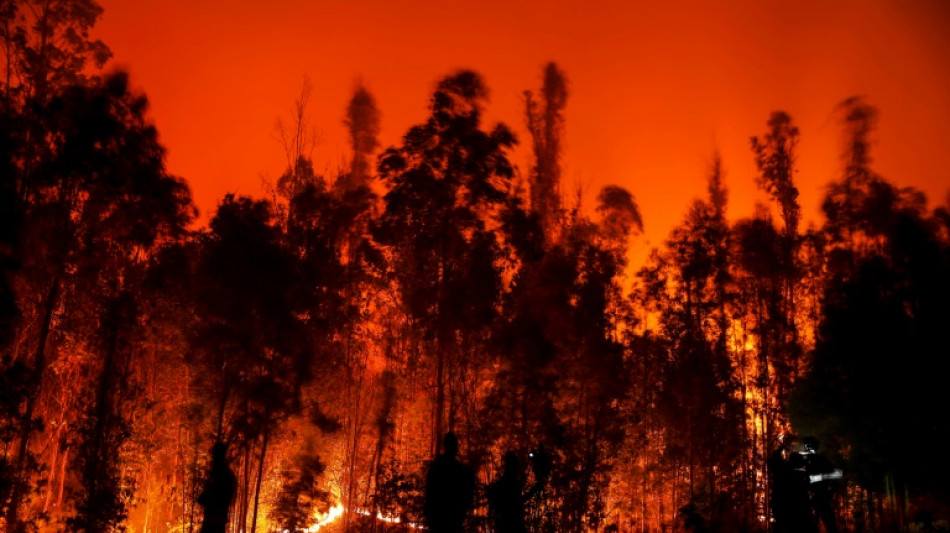 Chili: 24 morts dans des immenses feux de for&ecirc;t, plus de 1.100 bless&eacute;s