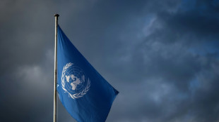 Biopiraterie: le pillage des ressources g&eacute;n&eacute;tiques en discussion &agrave; l'ONU