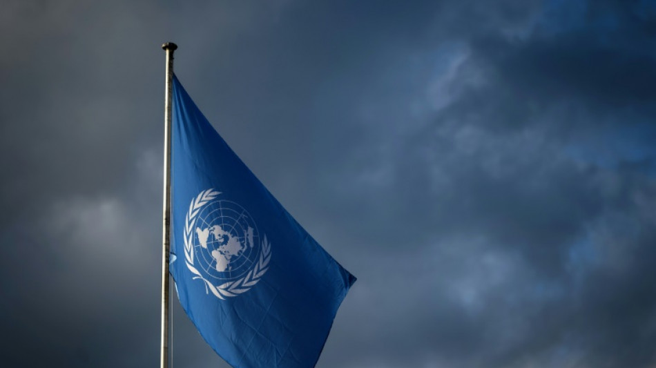 Brevets et biopiraterie: Ouverture des n&eacute;gociations &agrave; l'ONU sur les ressources g&eacute;n&eacute;tiques