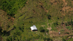 Honduras denuncia un boicot de "ocupantes de tierras" a un plan contra la deforestaci&oacute;n
