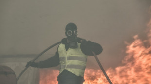 Gr&egrave;ce: les pompiers luttent toujours pour &eacute;teindre des incendies