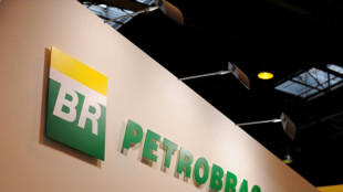 Brazil oil drilling near Amazon halted over 'fluid leak'