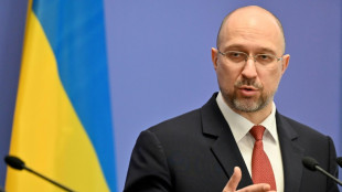 Ukrainischer Regierungschef: Verteidiger von Mariupol werden "bis zum Ende k&auml;mpfen"