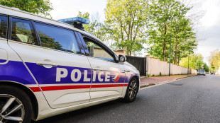 Francia, grida Allahu Akbar e investe diverse persone