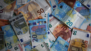 Arrestado en Espa&ntilde;a un alto cargo policial con millones de euros emparedados en su casa 