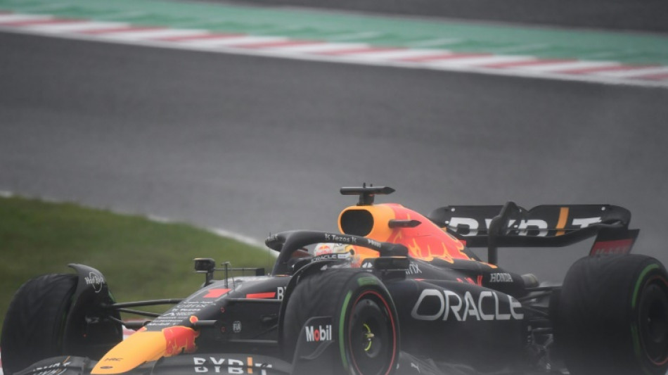 F1: Red Bull vise le titre &agrave; Austin, Verstappen lorgne les records