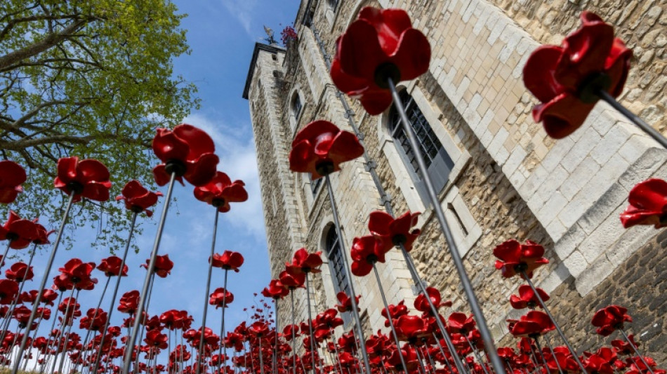30.000 Keramikblumen erinnern in London an den 80. Jahrestag des Zweiten Weltkriegs