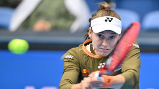 Rybakina seals WTA Finals spot in reaching Tokyo semis