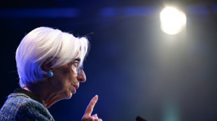 AI delay may affect Europe's future, says ECB chief