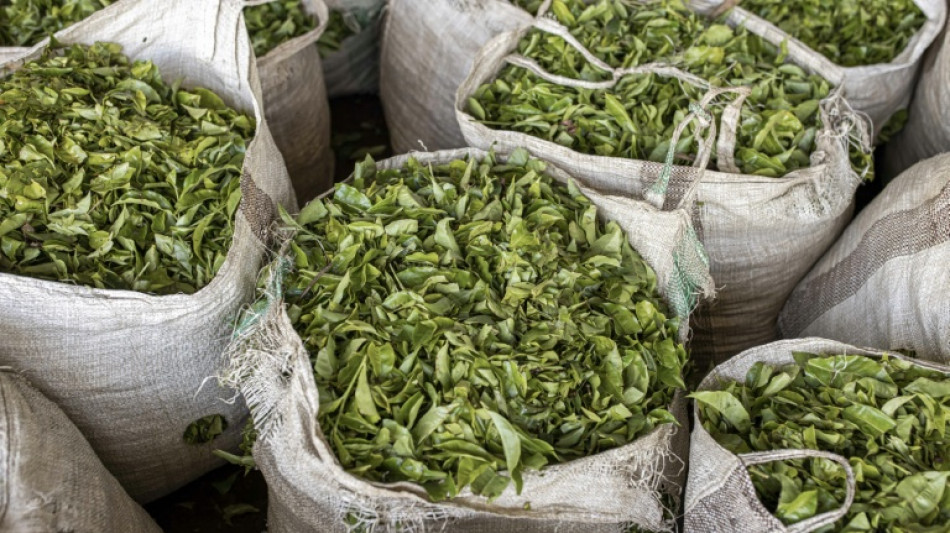  Mideast war leaves 6,000 tonnes of tea stuck at Kenya port 