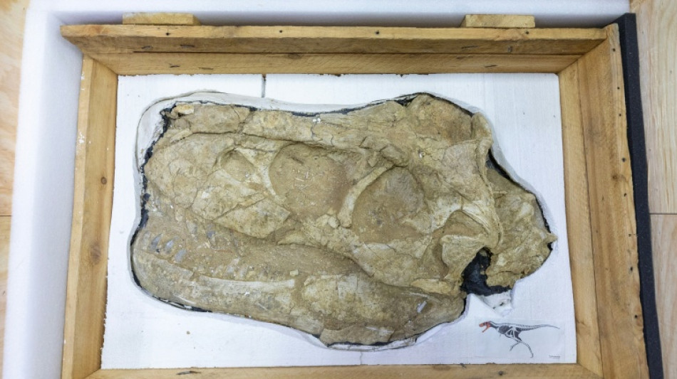 La Mongolie rapatrie des fossiles de dinosaures, au terme d'une bataille juridique de 13 ans 