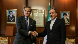Le chef de l'AIEA en Iran pour tenter de r&eacute;gler les diff&eacute;rends li&eacute;s au nucl&eacute;aire