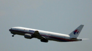 Ag&ecirc;ncia da ONU responsabiliza R&uacute;ssia por queda de aeronave da Malaysia Airlines em 2014
