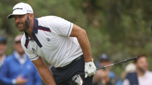 Johnson in US Open hunt despite quadruple bogey