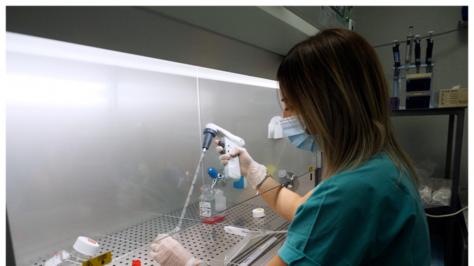  Cervello invecchia? Causa è stallo in sintesi proteine cerebrali 