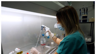 Dalla fusione di due microrganismi l'origine di animali e piante