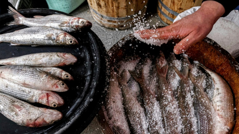 En Egypte, depuis des mill&eacute;naires, un plat de poisson sal&eacute; ravi les papilles et prend au nez