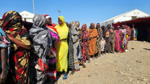 Famine spreading in Sudan's Darfur, warn UN-backed experts 