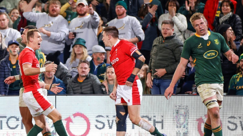 'We got answers' - Nienaber defends selection gamble