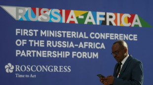 La Russie cherche &agrave; s'imposer en partenaire incontournable de l'Afrique 