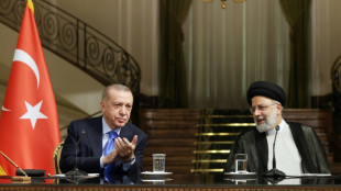 Report de la visite du pr&eacute;sident iranien en Turquie