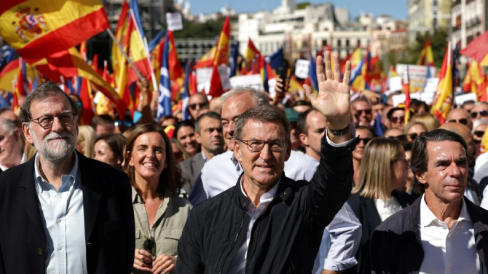 Miles de personas apoyan en Madrid al l&iacute;der de la derecha antes de la investidura
